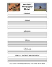 Afrikanischer-Elefant-Tiersteckbriefvorlage.pdf